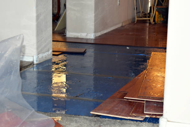 Professional Flood Cleanup technician working in Waveland, MS